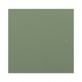 Linden green MDF door