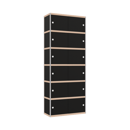 [400542141] Cabinet (250x100x42 cm)