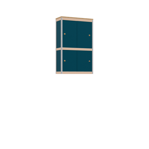 [400543137] Hanging cabinet (97.8x62x25 cm)