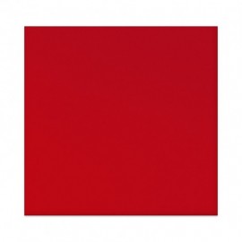 [SAMPLE[4T50]] Echantillon en acrylique translucide Chili (7x7cm)