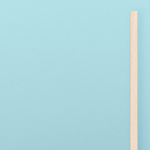 Large door MDF Light  blue