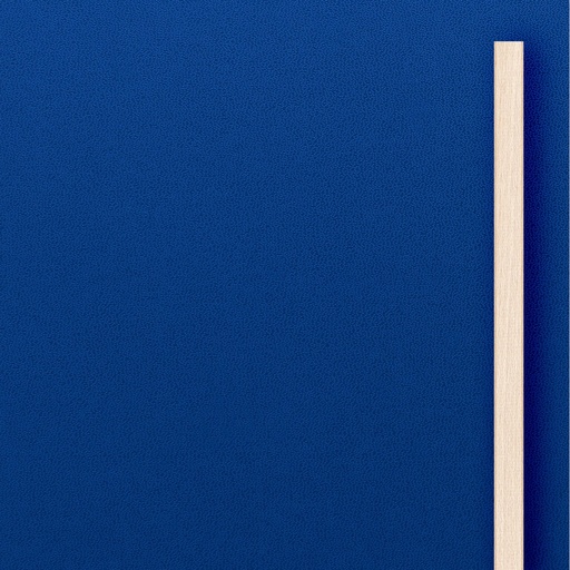 Grande porte MDF Bleu