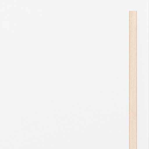 Large door MDF White